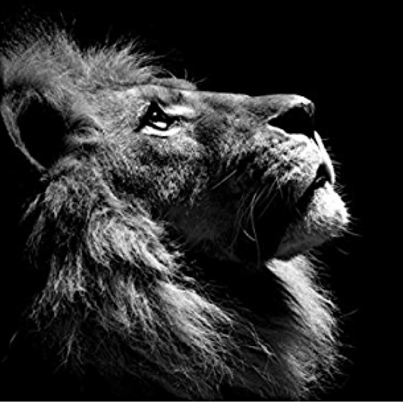 Meet your Posher, 7Lions - Picture 2 of 2